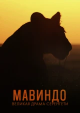 Мавиндо. Великая драма Серенгети