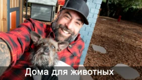 Трейлер 1