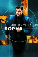 Идентификация Борна