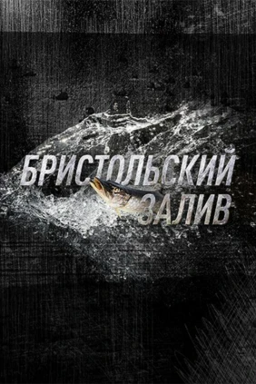 Аляска: Бристольский залив
