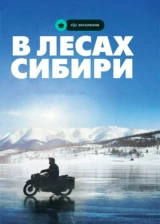 В лесах Сибири