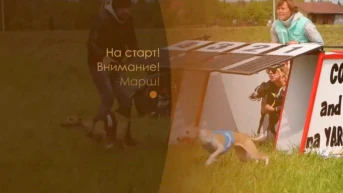 На старт! Внимание! Марш!