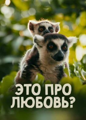 Это про любовь?