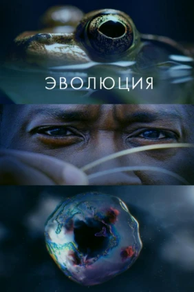 Эволюция