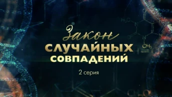 Закон случайных совпадений Серия 2